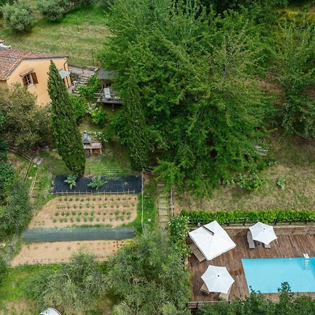 Вілла La Casa Sui Colli Uzzano Екстер'єр фото