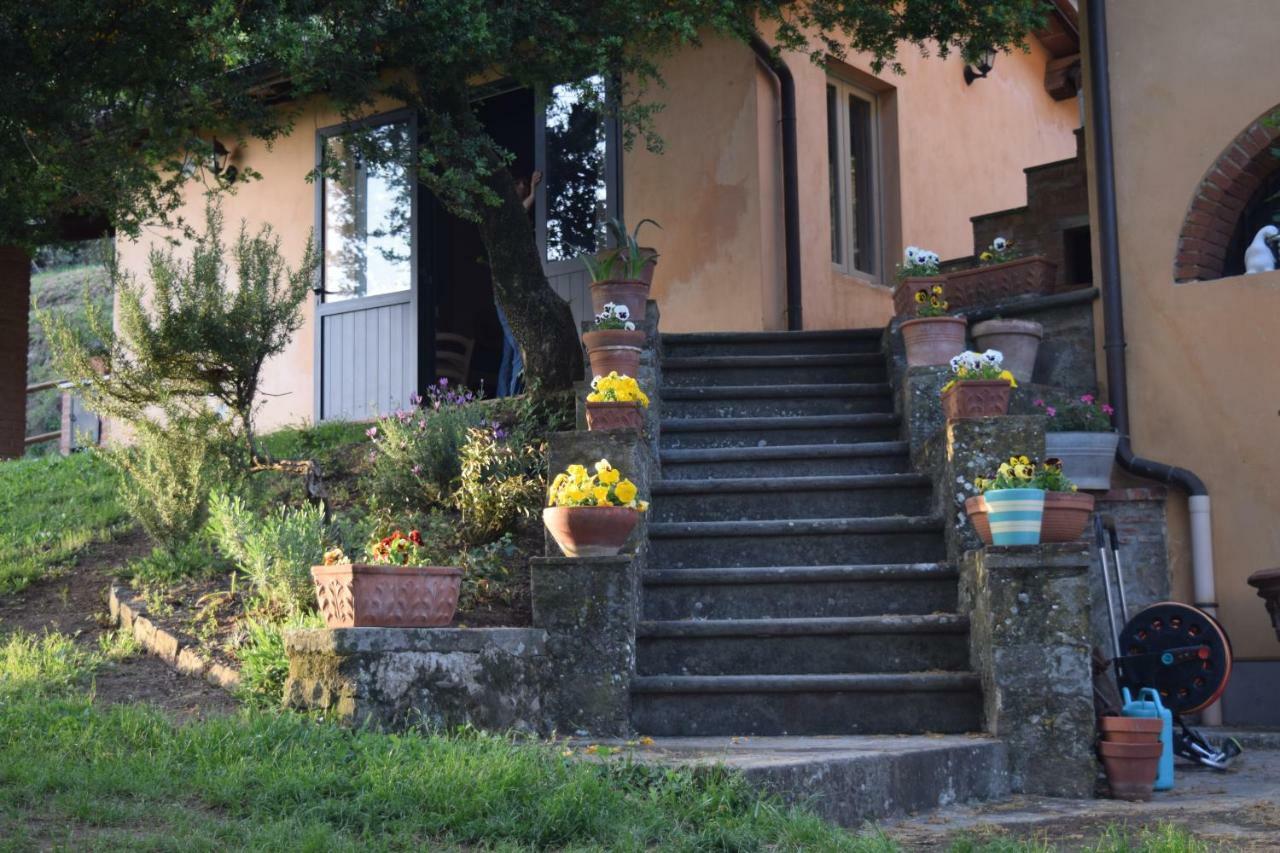 Вілла La Casa Sui Colli Uzzano Екстер'єр фото